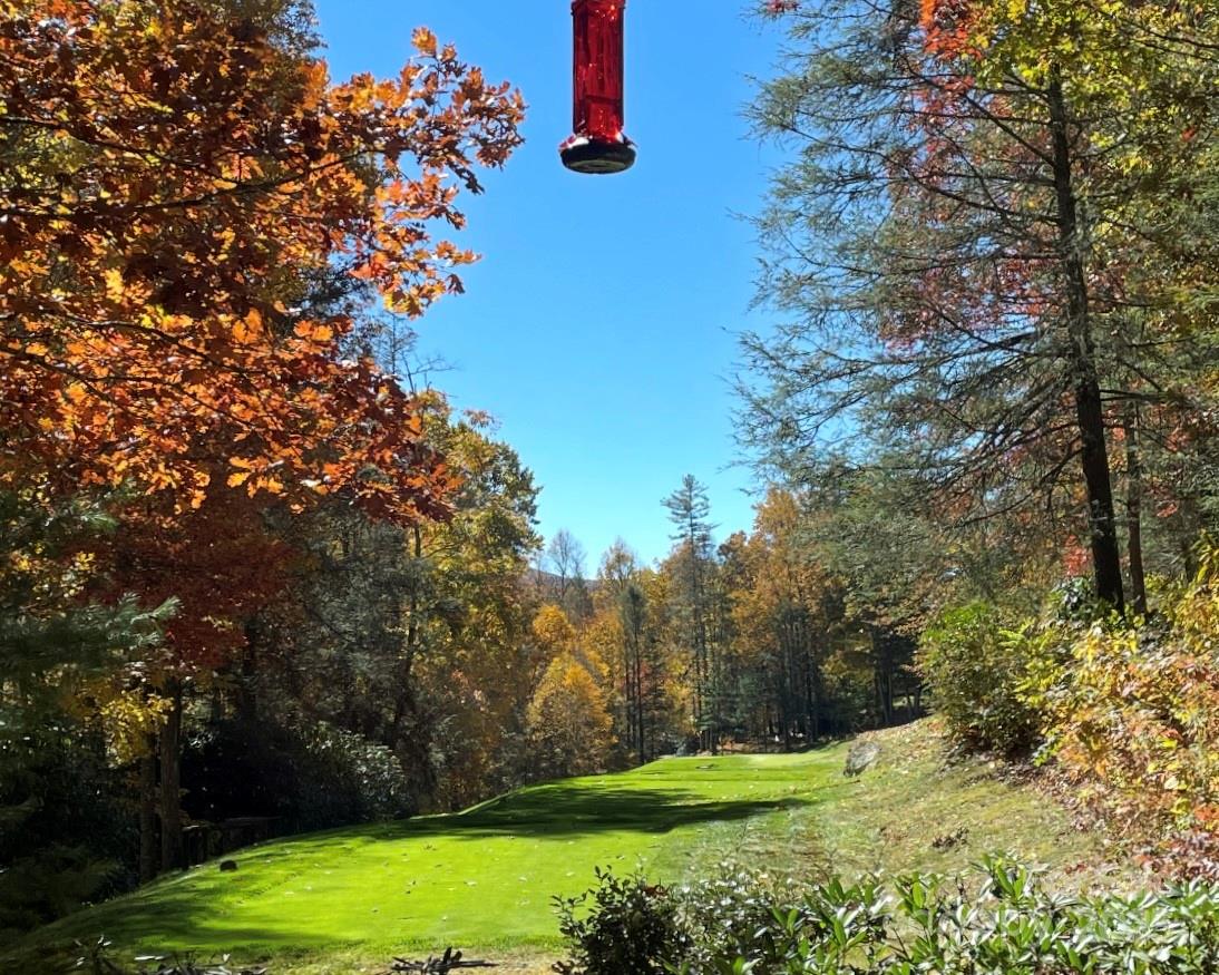 2442 Trillium Ridge Road Cullowhee, NC 28723 - Photo 28 of 30