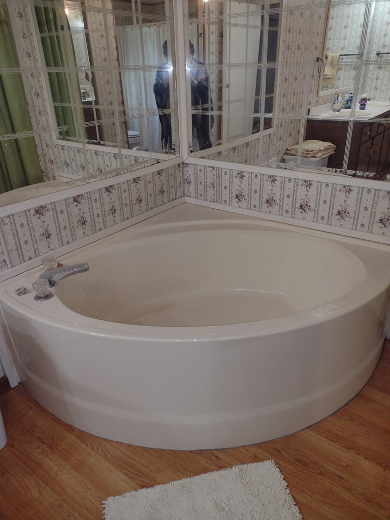 7971 Broxton Bridge Road Bamberg, SC 29003 - Photo 11 of 11 Masterbath