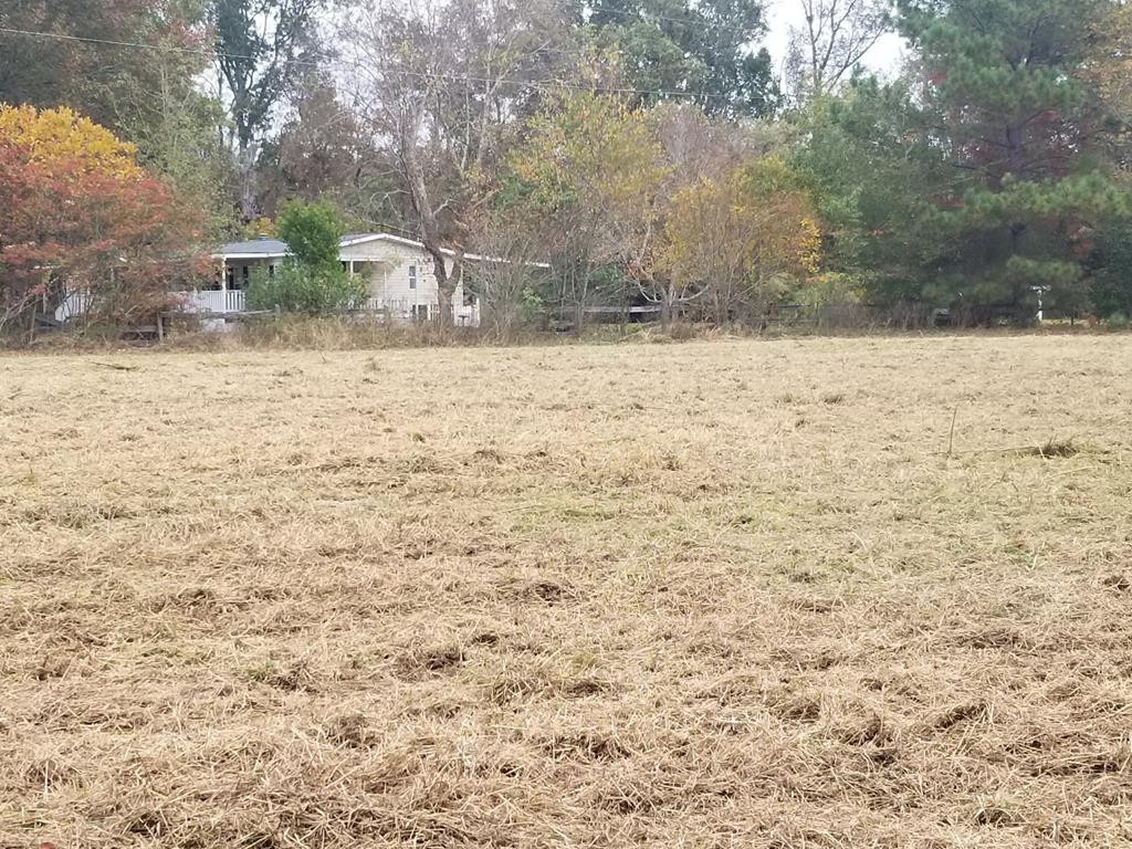 7971 Broxton Bridge Road Bamberg, SC 29003 - Photo 2 of 11 Acreage in Front of Home