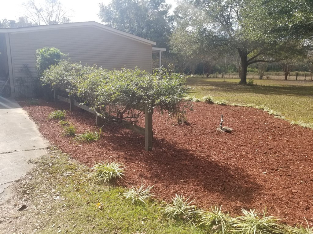 7971 Broxton Bridge Road Bamberg, SC 29003 - Photo 4 of 11 Side Yard
