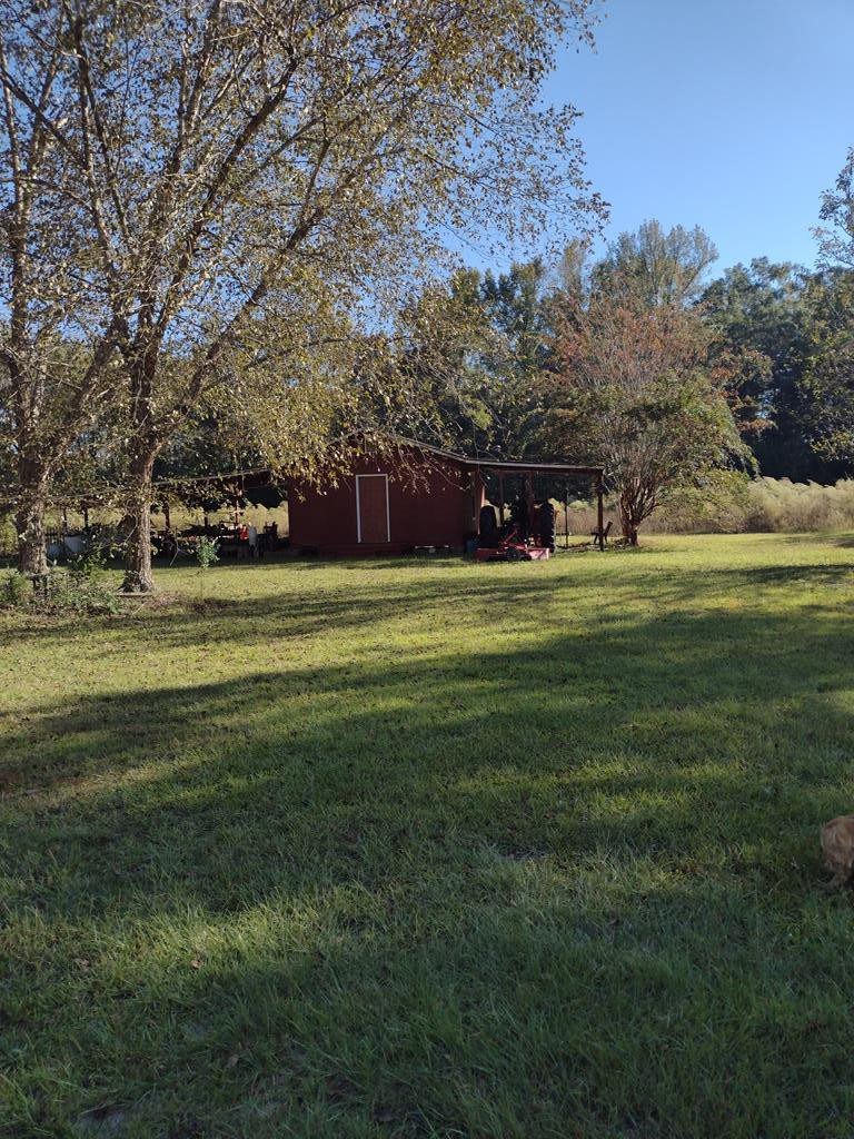 7971 Broxton Bridge Road Bamberg, SC 29003 - Photo 6 of 11 Barn