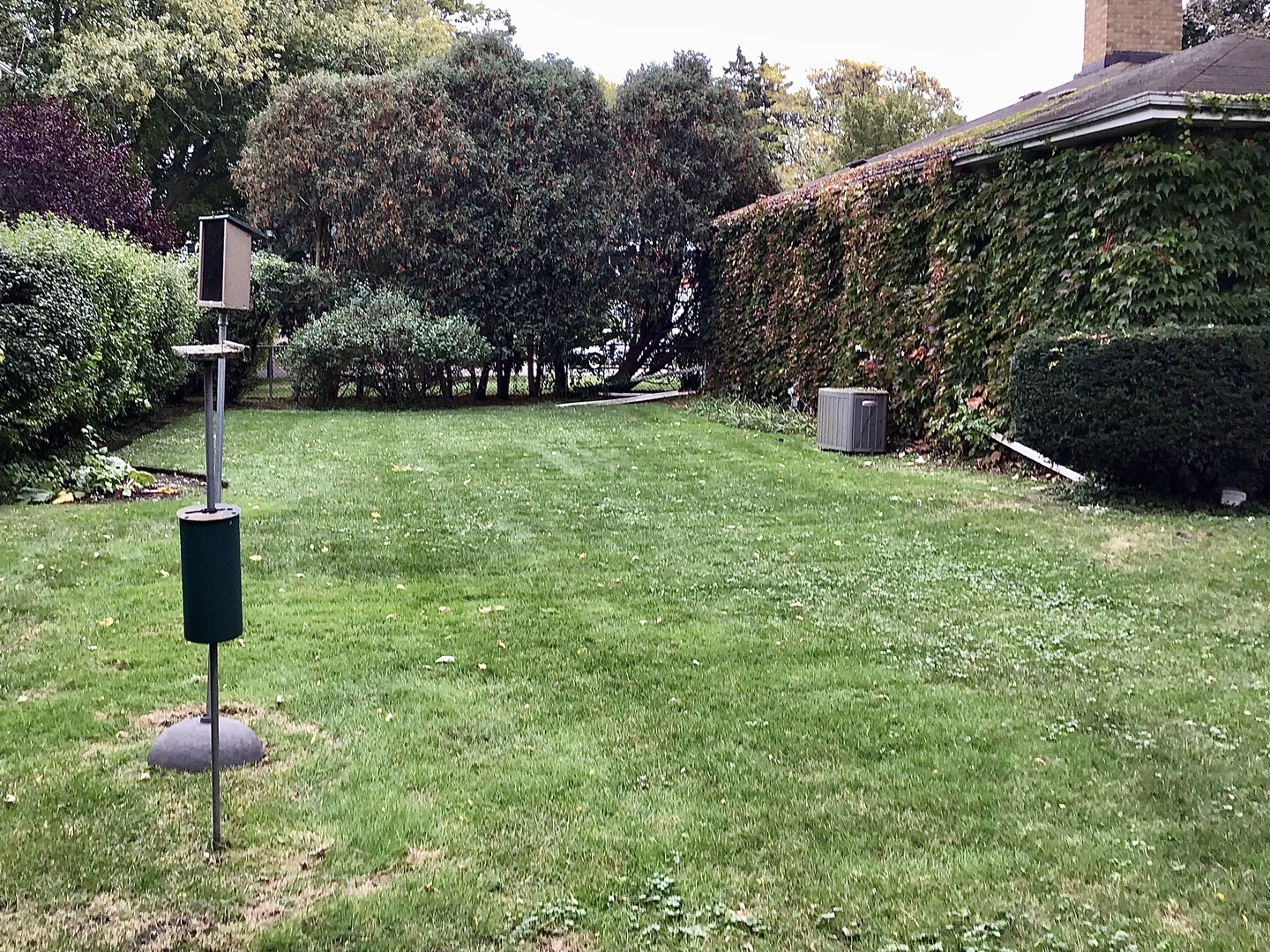 9532 Springfield Avenue Evanston, IL 60203 - Photo 22 of 23