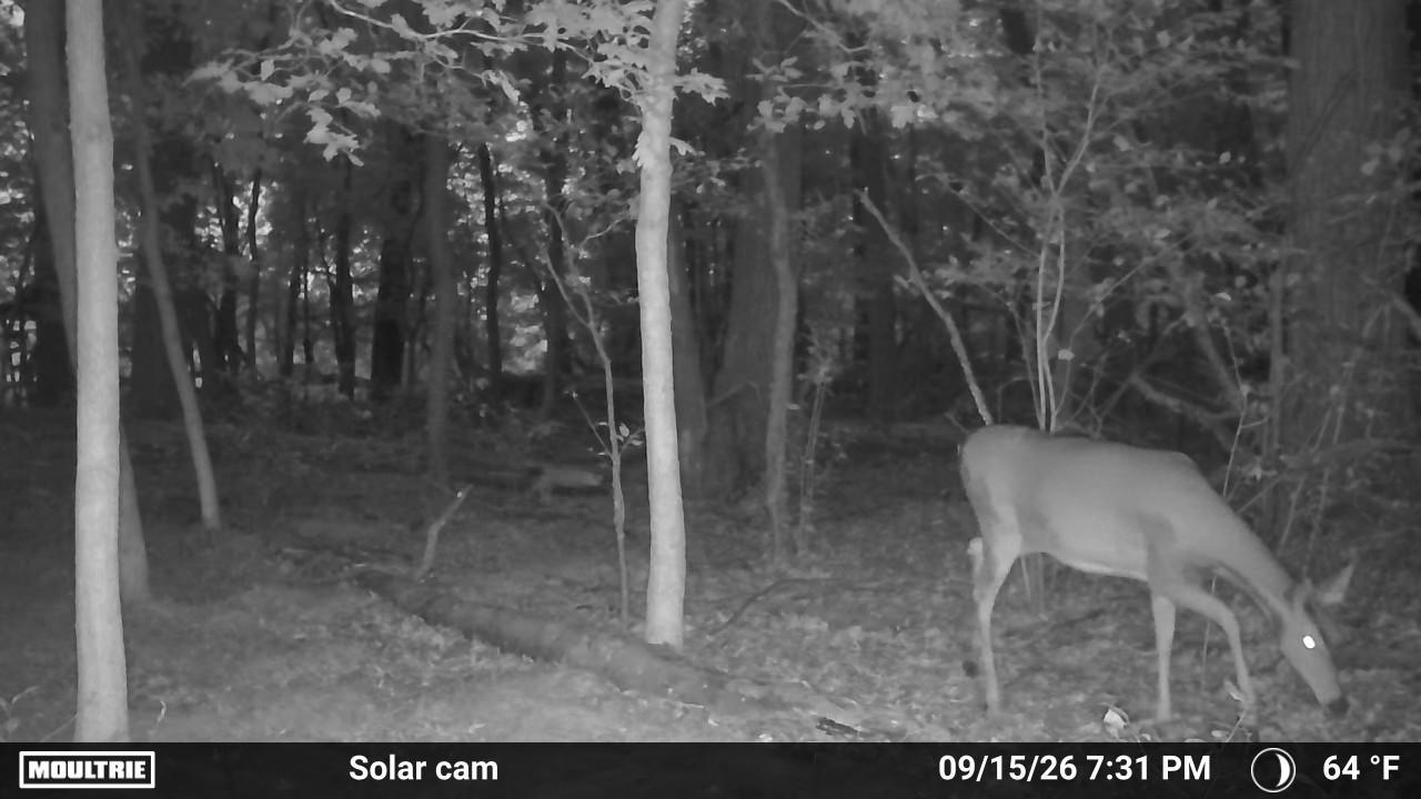 34th Road Berlin, WI 54923 - Photo 34 of 37 Gallery Image 34
