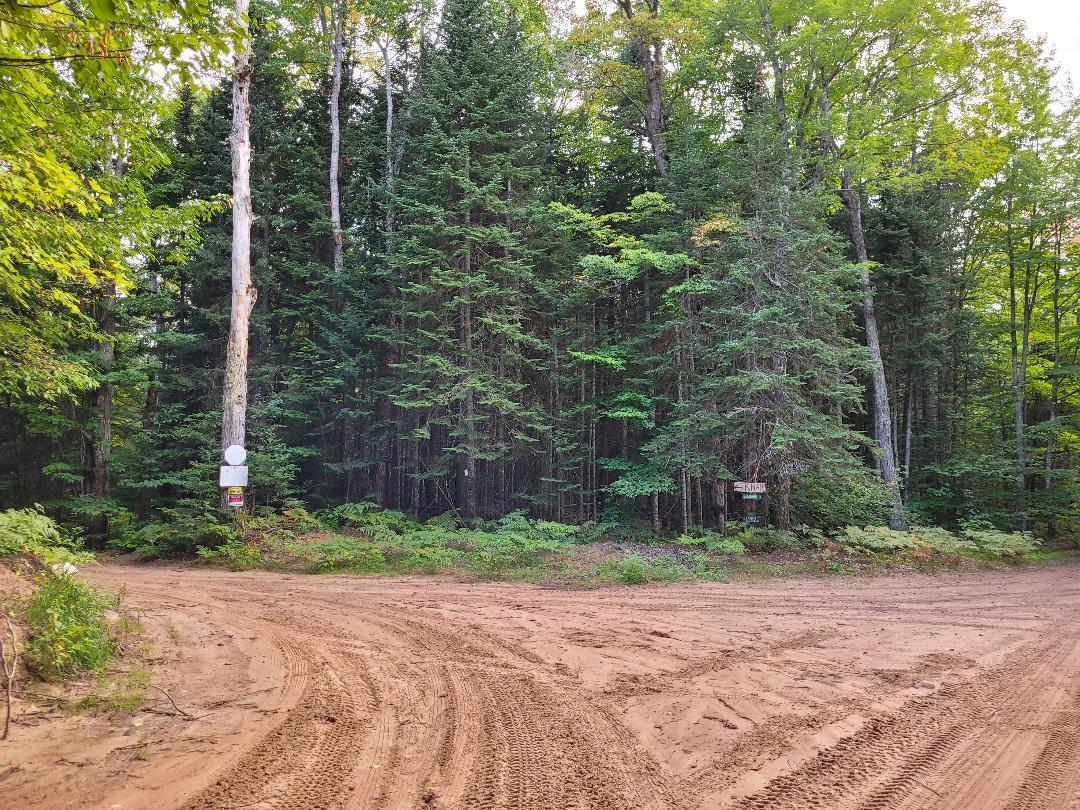 0 Chesbrough Lake Road Newberry, MI 49868 - Photo 5 of 5 Gallery Image 5