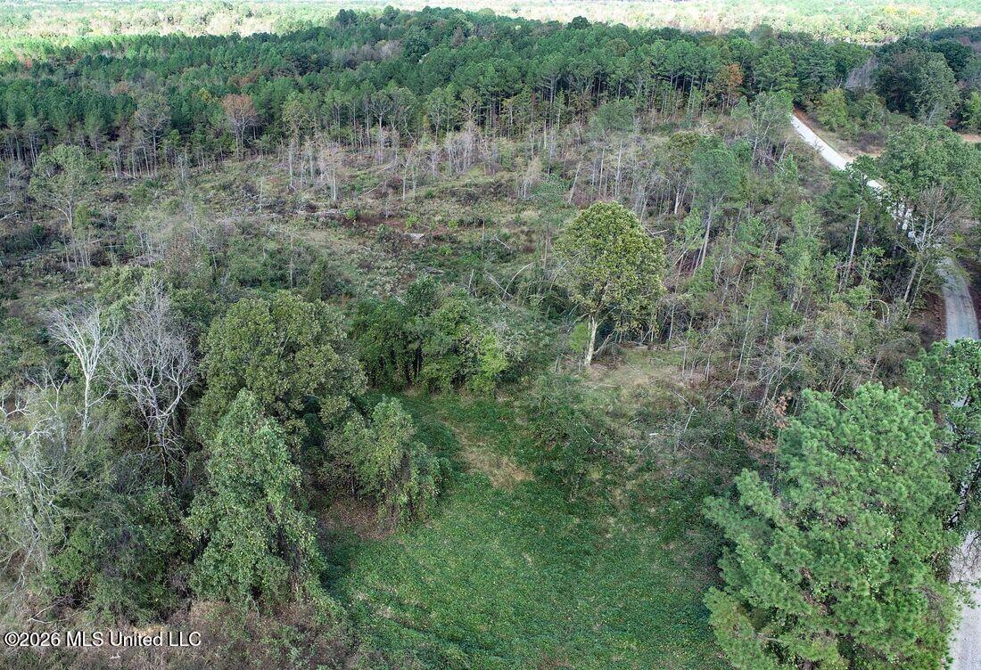 154 County Road Tillatoba, MS 38961 - Photo 17 of 58 4kgrdn56-orig_orig