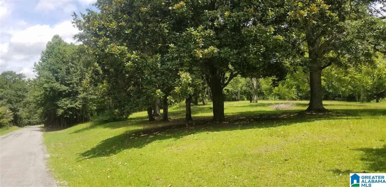 173 Beagle Club Road, Unit 1 2 Empire, AL 35063 - Photo 16 of 20