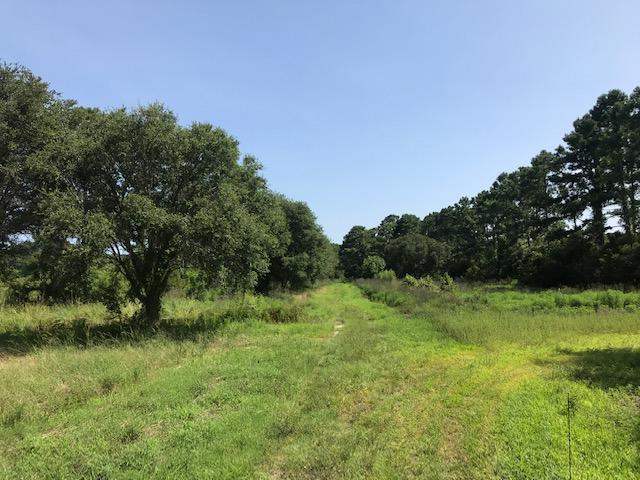 1 Clark Road Edisto Island, SC 29438 - Photo 1 of 7 1 Clark Rd