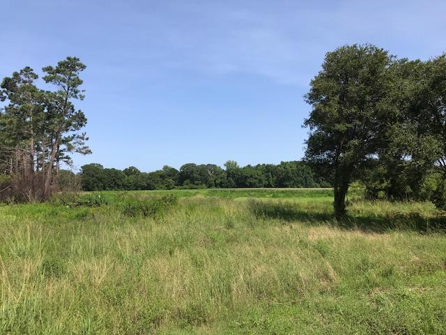 1 Clark Road Edisto Island, SC 29438 - Photo 3 of 7 1 Clark Rd