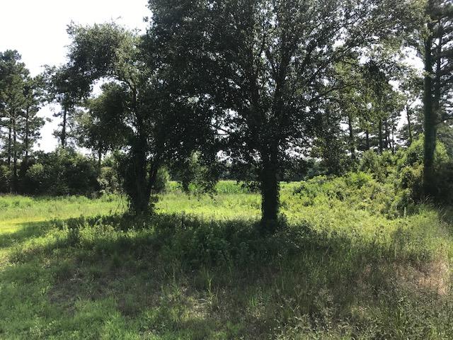1 Clark Road Edisto Island, SC 29438 - Photo 4 of 7 1 Clark Rd
