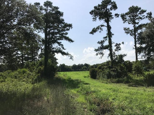 1 Clark Road Edisto Island, SC 29438 - Photo 5 of 7 1 Clark Rd