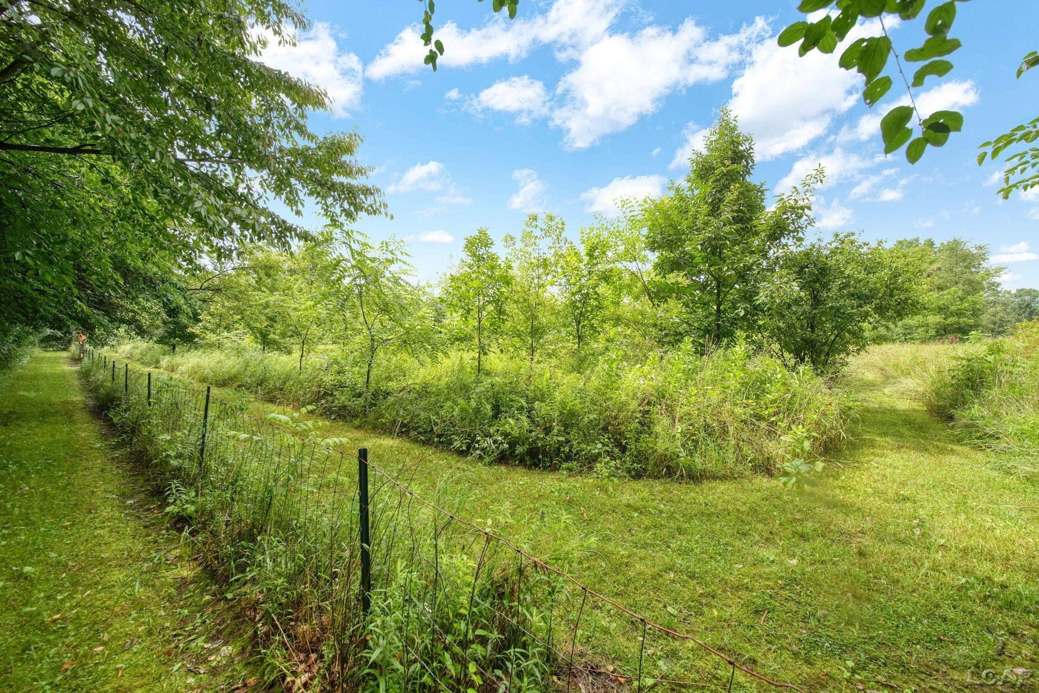 7445 Crego Road Brooklyn, MI 49230 - Photo 55 of 67 50182347-db0de820-d19e-446f-af92-5949dcfdfc50.JPG