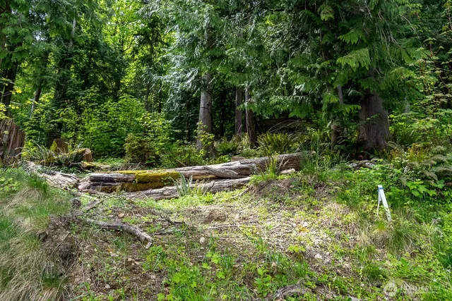 $90,000 | 0 West Alder Drive, Sedro-Woolley, WA 98284