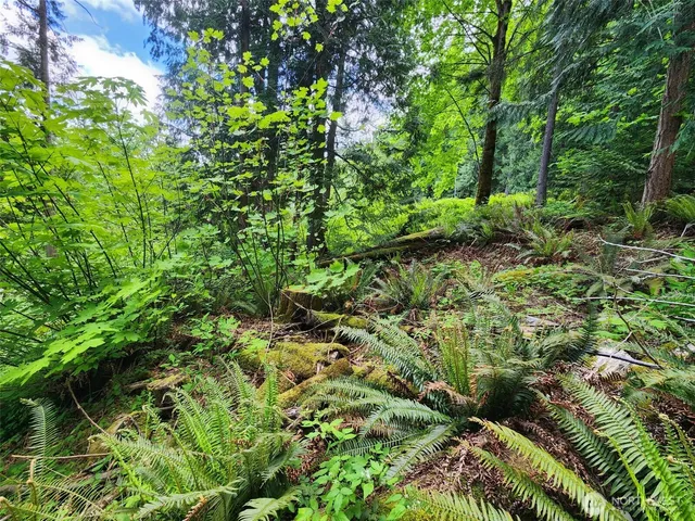 $90,000 | 0 West Alder Drive, Sedro-Woolley, WA 98284