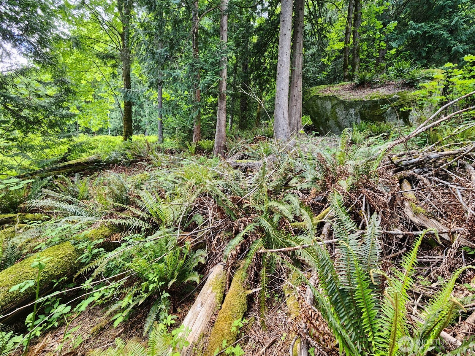 0 West Alder Drive Sedro-Woolley, WA 98284 - Photo 4 of 17