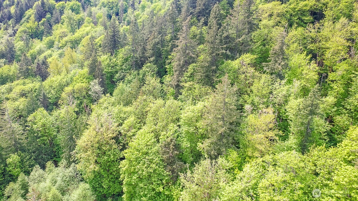 0 West Alder Drive Sedro-Woolley, WA 98284 - Photo 6 of 17