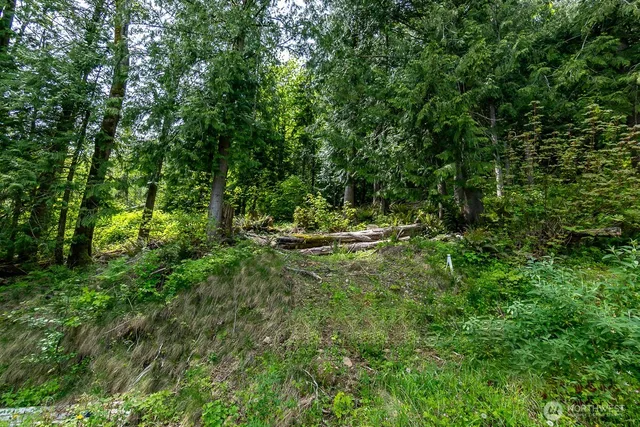 $90,000 | 0 West Alder Drive, Sedro-Woolley, WA 98284