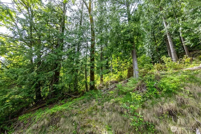 $90,000 | 0 West Alder Drive, Sedro-Woolley, WA 98284