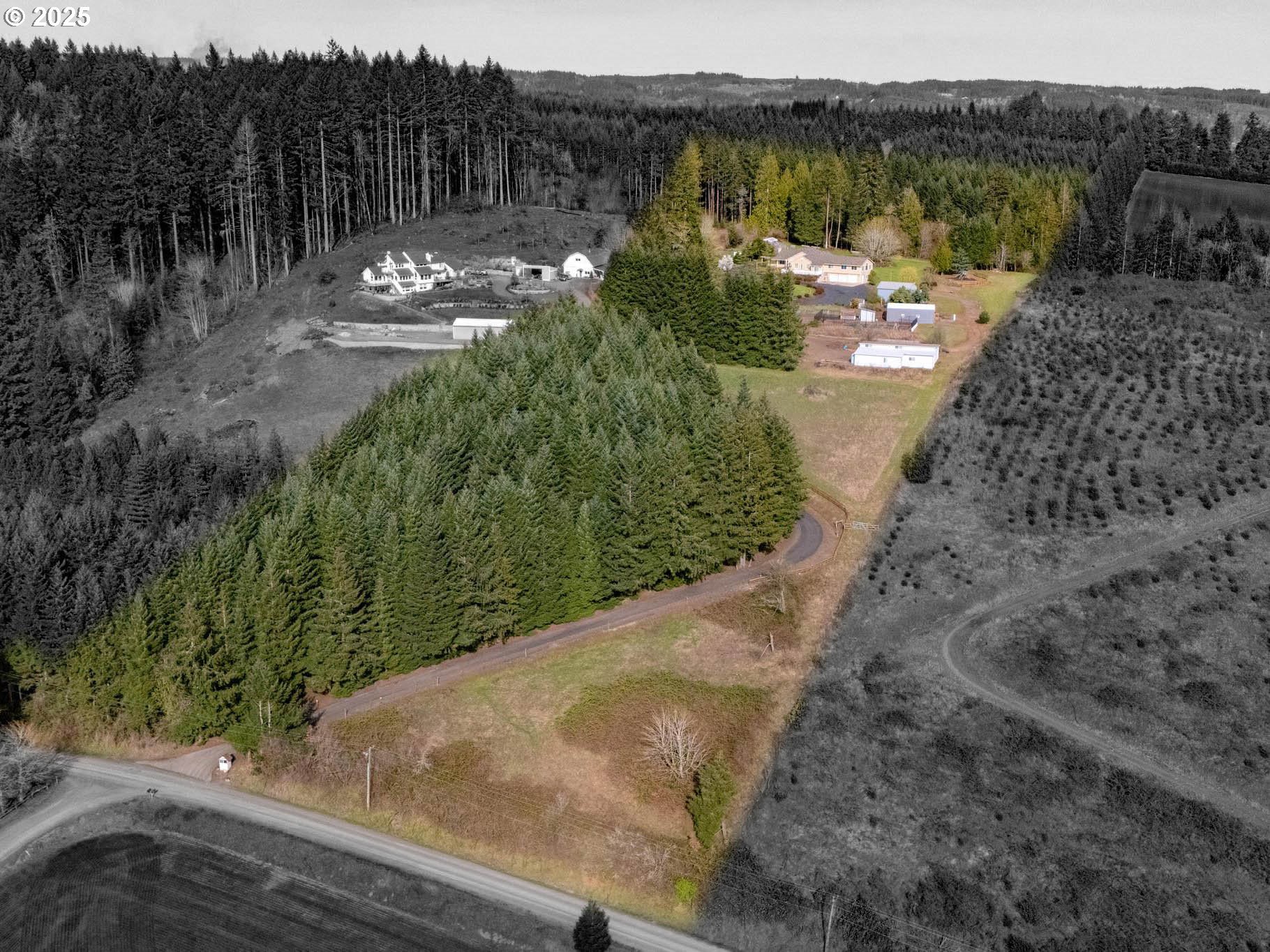 17034 Northwest Corey Road North Plains, OR 97133 - Photo 45 of 48 Acreage