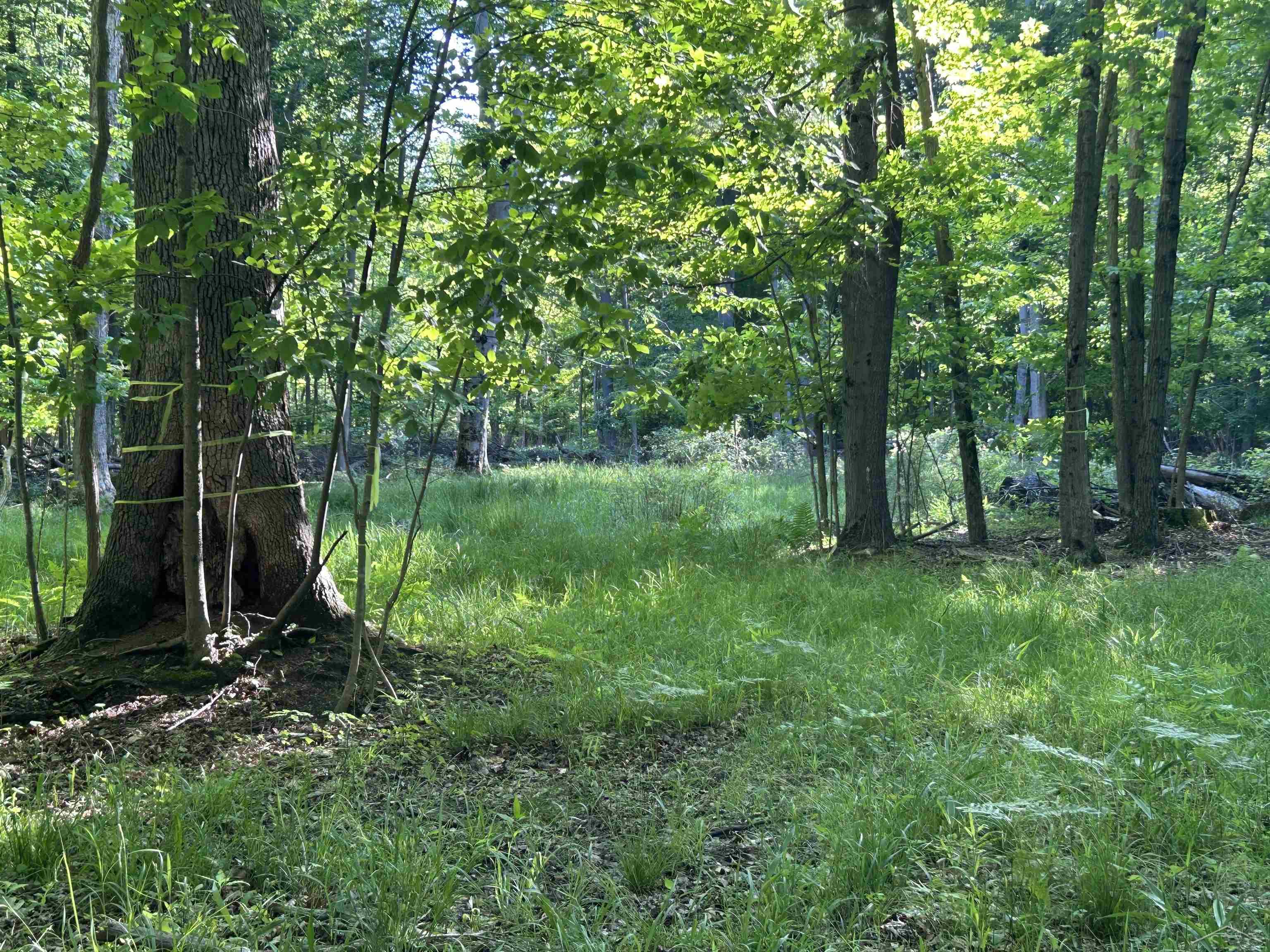 0 Lange Road Bridgeport, MI 48722 - Photo 10 of 11
