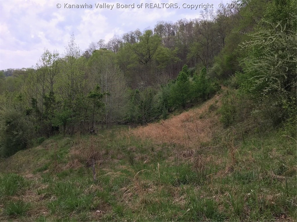 0 Trace Fork Road Chapmanville, WV 25508 - Photo 8 of 10 Gallery Image 8