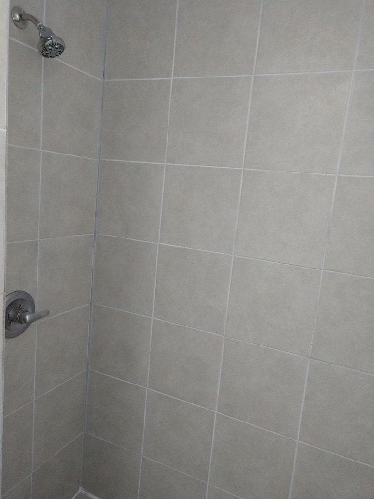 6219 South Rhodes Avenue Chicago, IL 60637 - Photo 11 of 24 a bathroom with a shower