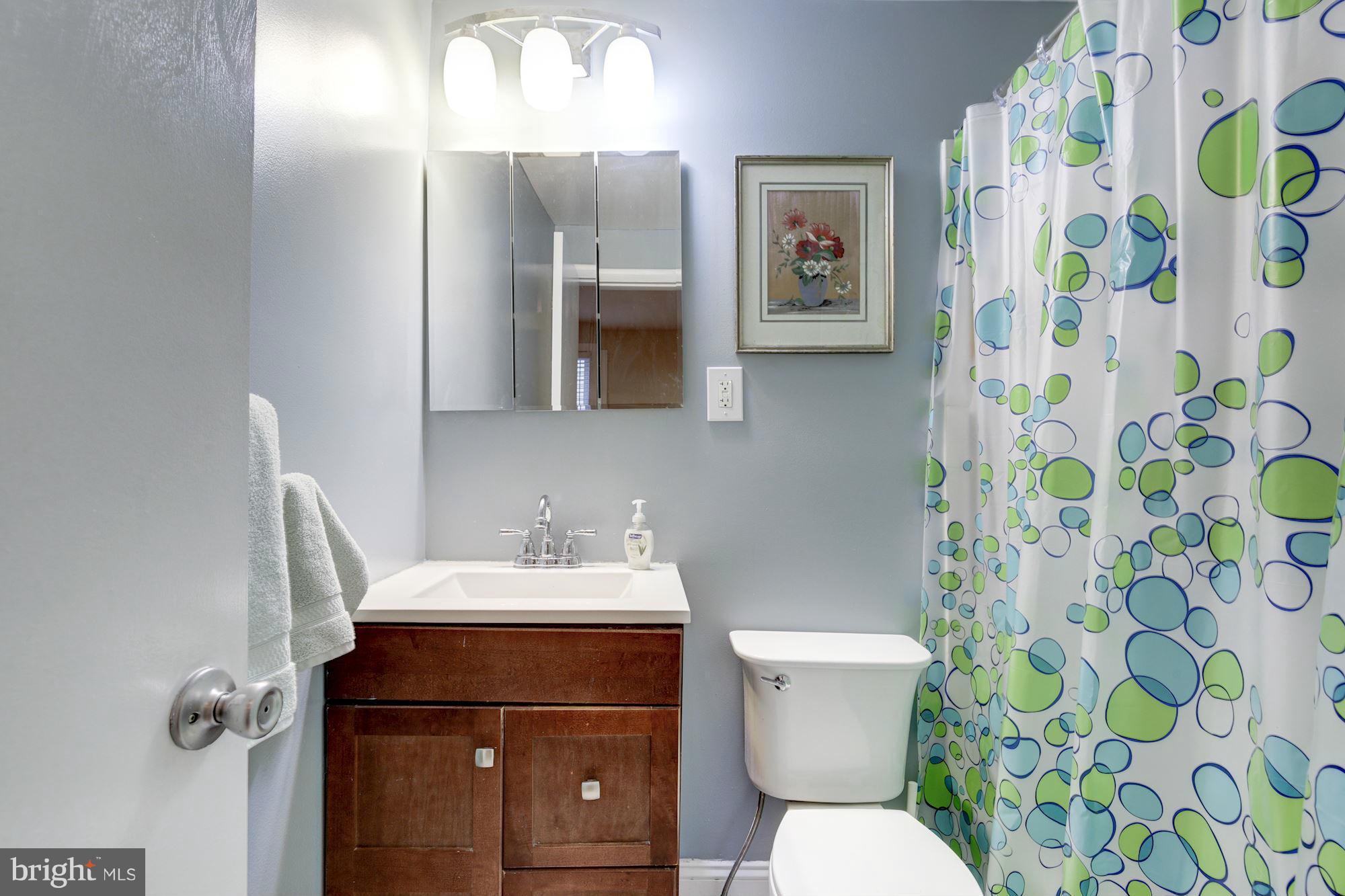 1241 Jackson Street Northeast Washington, DC 20017 - Photo 8 of 30 a bathroom with a sink and a toilet