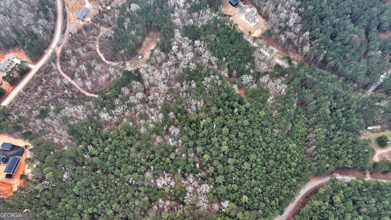 Lot 5 Cochran Road Madison, GA 30650 - Photo 11 of 18 a backyard of a house with lots of trees