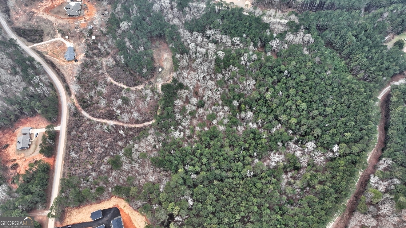 Lot 5 Cochran Road Madison, GA 30650 - Photo 12 of 18 a view of a wooden building with a tree