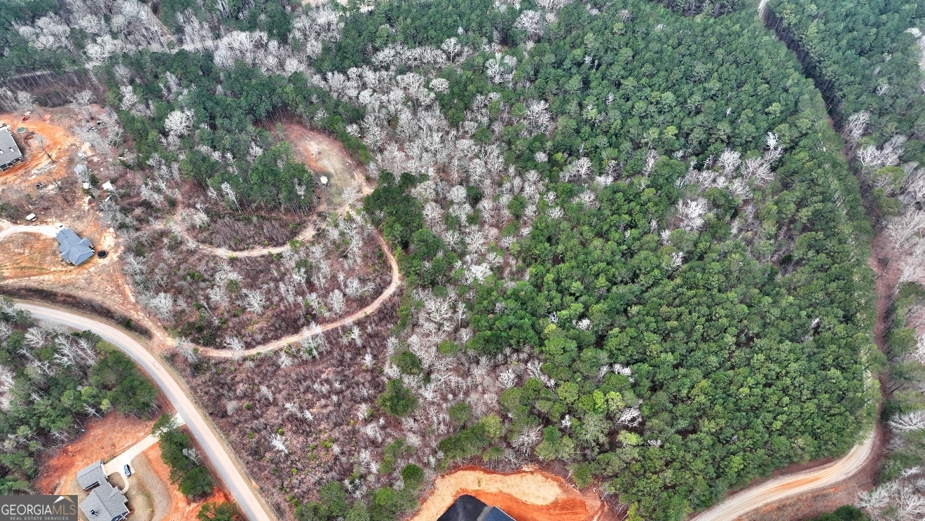 Lot 5 Cochran Road Madison, GA 30650 - Photo 13 of 18 a view of a yard