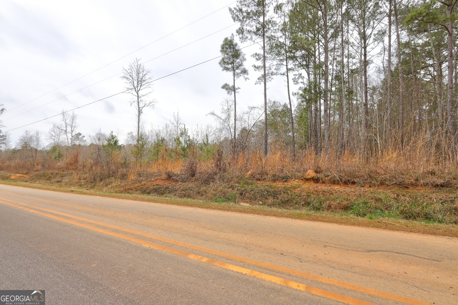 Lot 5 Cochran Road Madison, GA 30650 - Photo 15 of 18