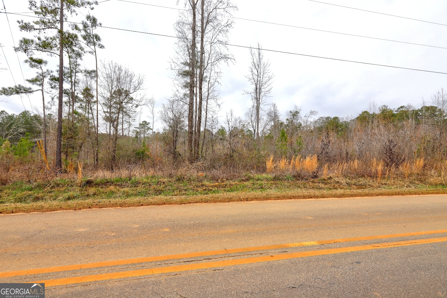 Lot 5 Cochran Road Madison, GA 30650 - Photo 18 of 18 a view of a yard with large trees