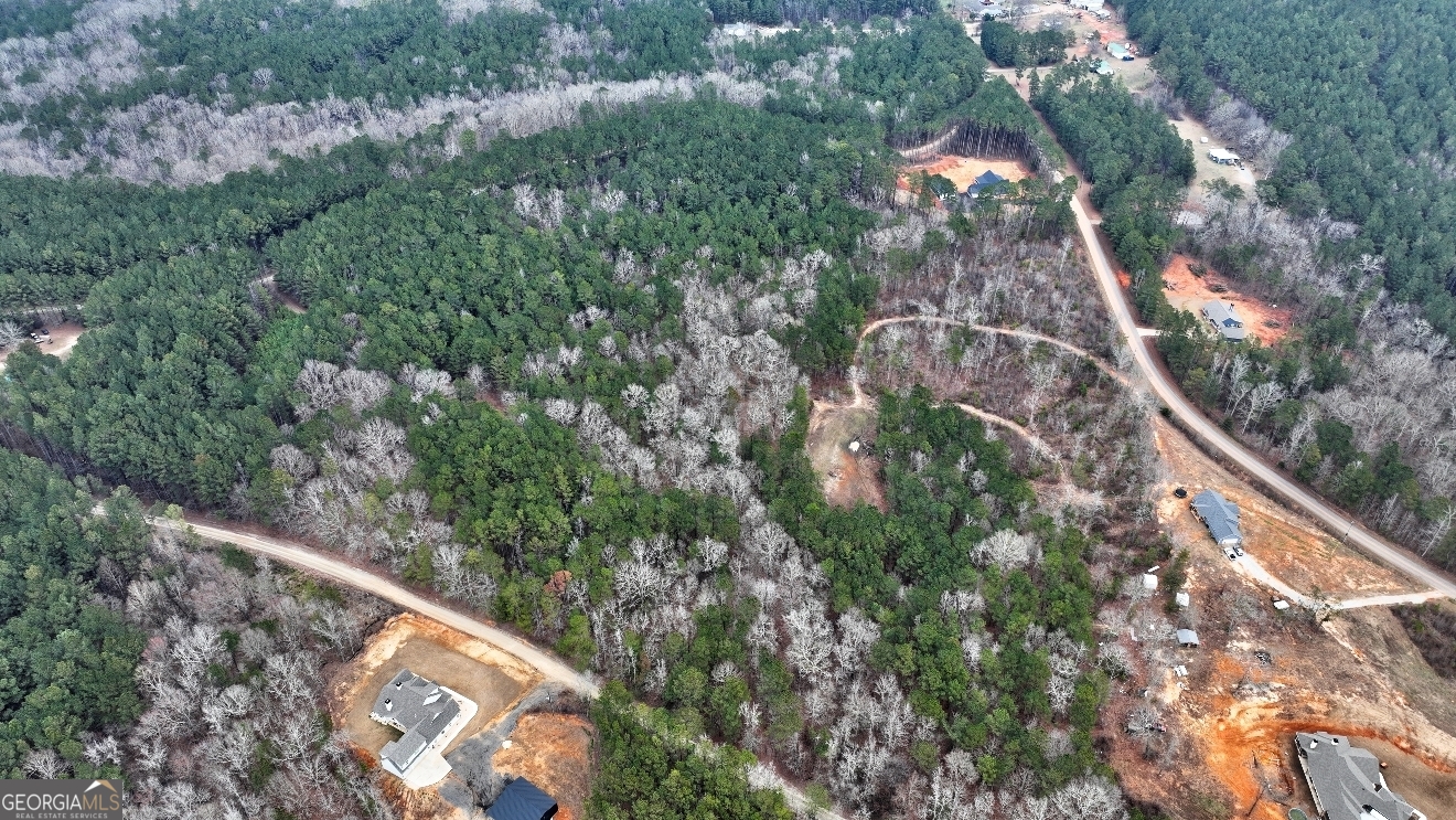Lot 5 Cochran Road Madison, GA 30650 - Photo 5 of 18 a view of a forest from a balcony