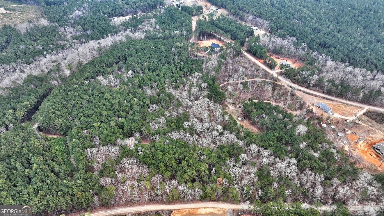 Lot 5 Cochran Road Madison, GA 30650 - Photo 7 of 18 a view of a house with a tree