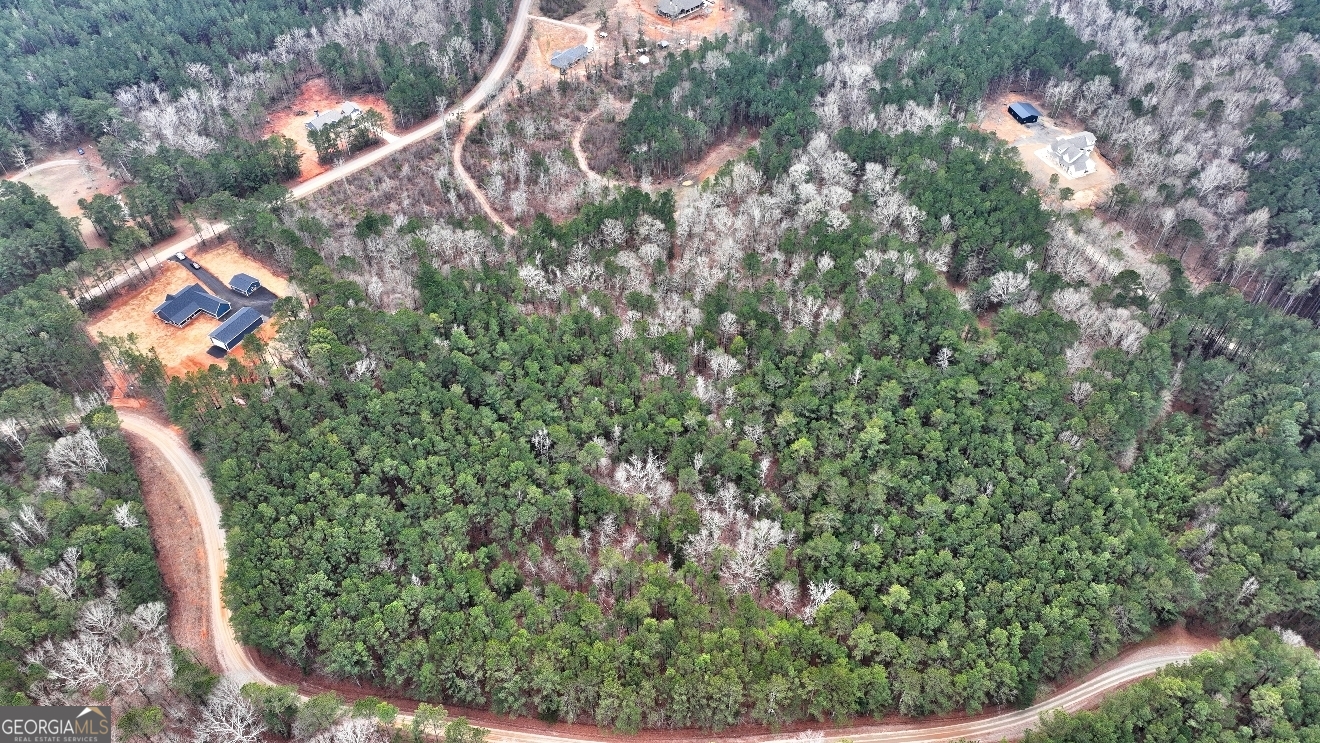 Lot 5 Cochran Road Madison, GA 30650 - Photo 10 of 18 a view of a yard with a tree