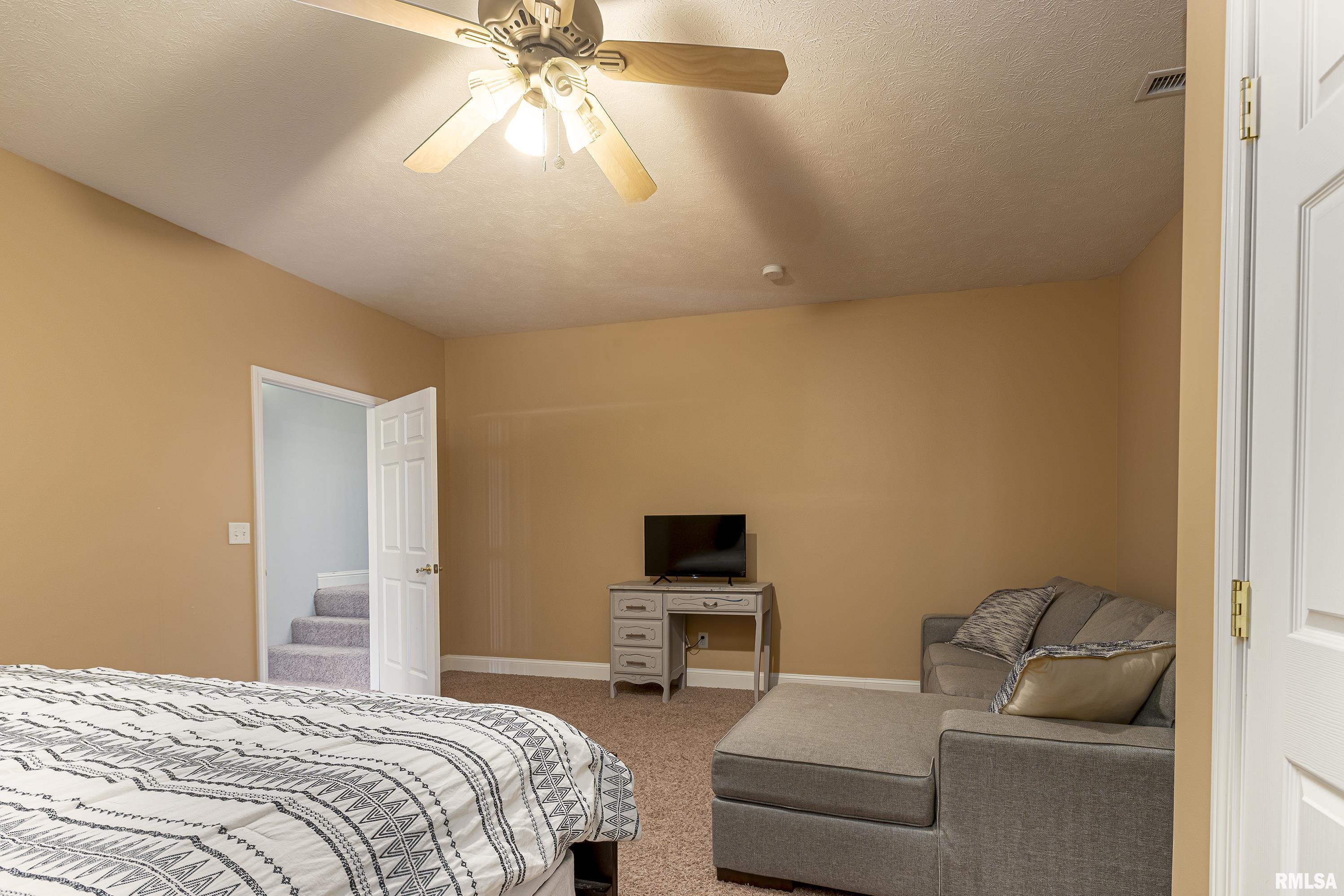 11674 Hafer Road Carterville, IL 62918 - Photo 35 of 56 Gallery Image 35