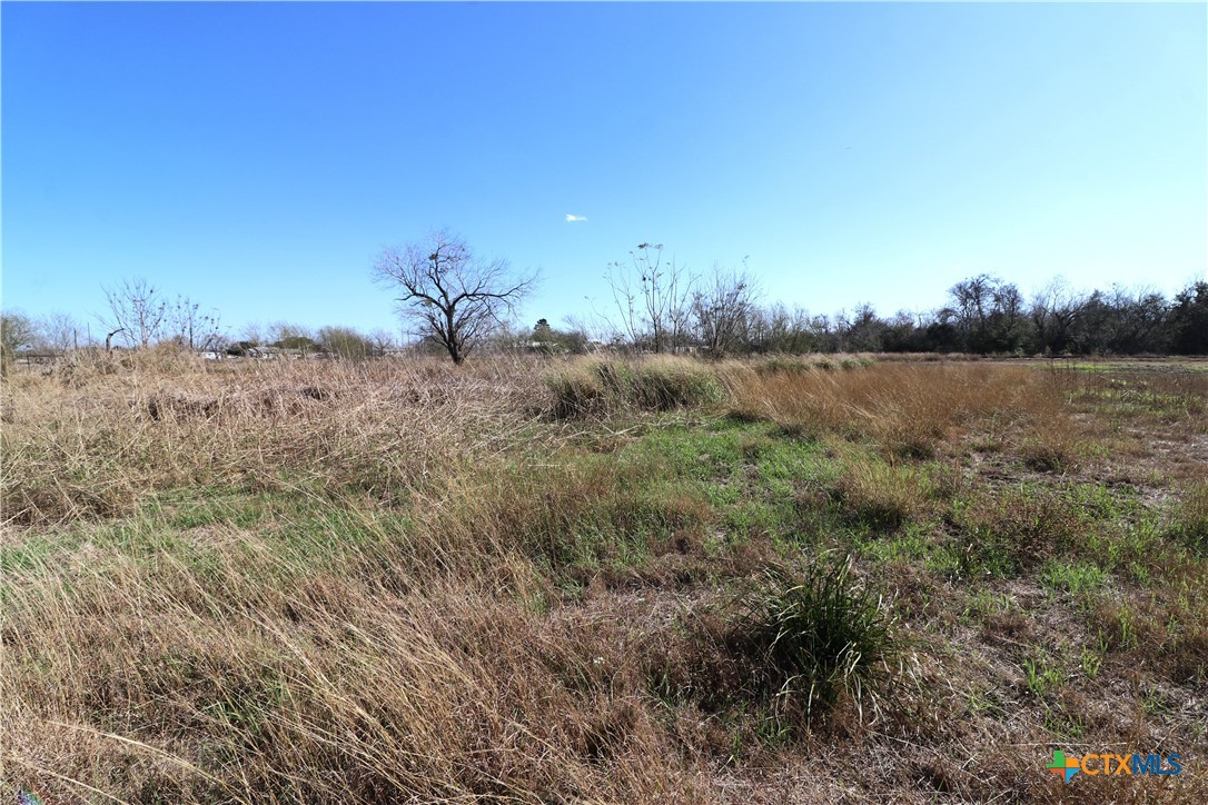 0 Cotton Street Fannin, TX 77960 - Photo 22 of 25