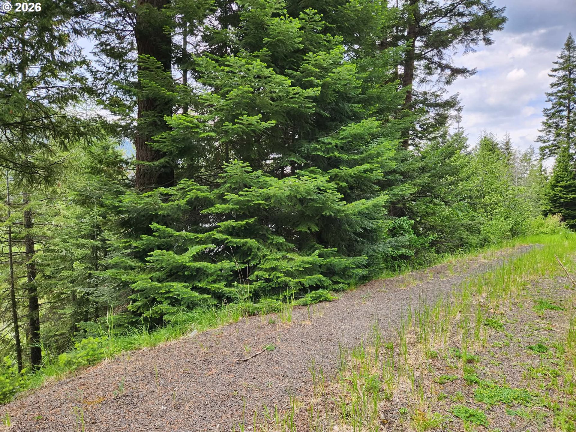 0 Forest Dell Road Joseph, OR 97846 - Photo 4 of 18