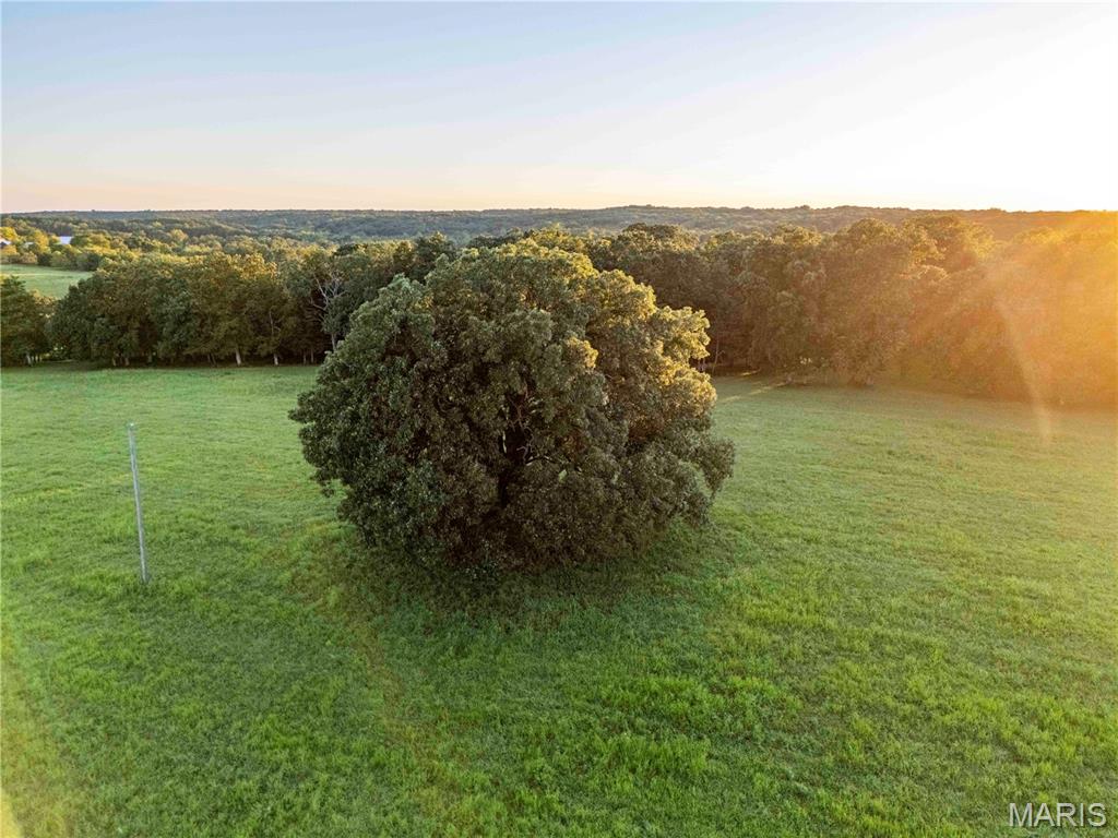 1827 Koenig Road Owensville, MO 65066 - Photo 50 of 73 Gallery Image 50