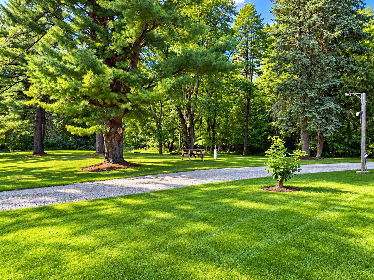 6411 Custer Road Carsonville, MI 48419 - Photo 21 of 23 Beautiful backyard