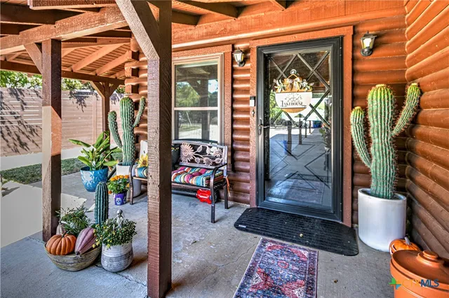 a potted plant sitting on the side of a building