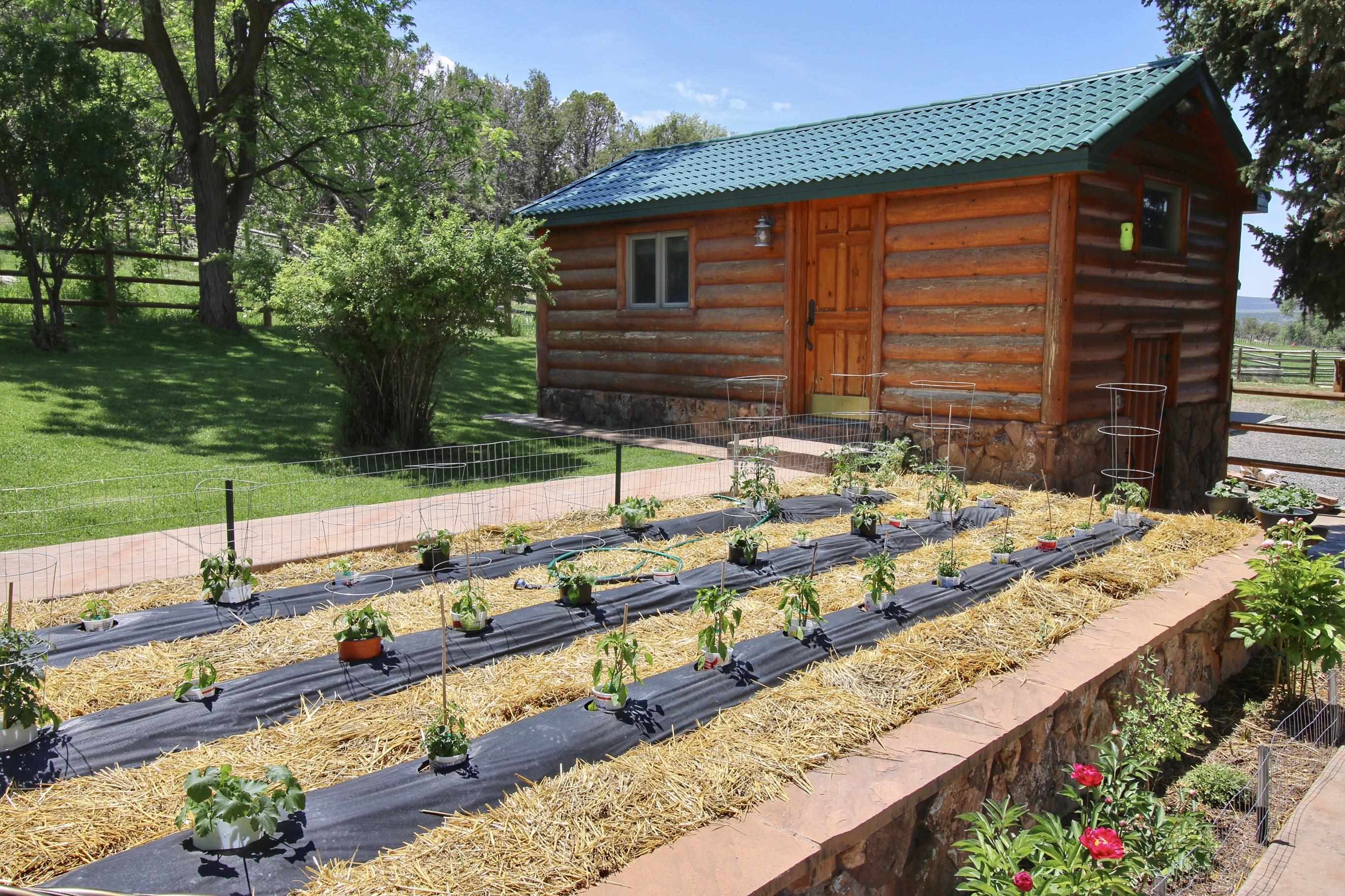 55945 Oe Road Collbran, CO 81624 - Photo 22 of 42