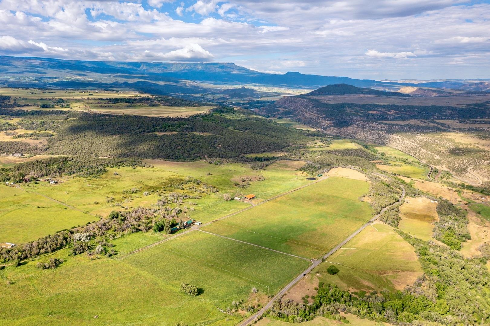 55945 Oe Road Collbran, CO 81624 - Photo 23 of 42