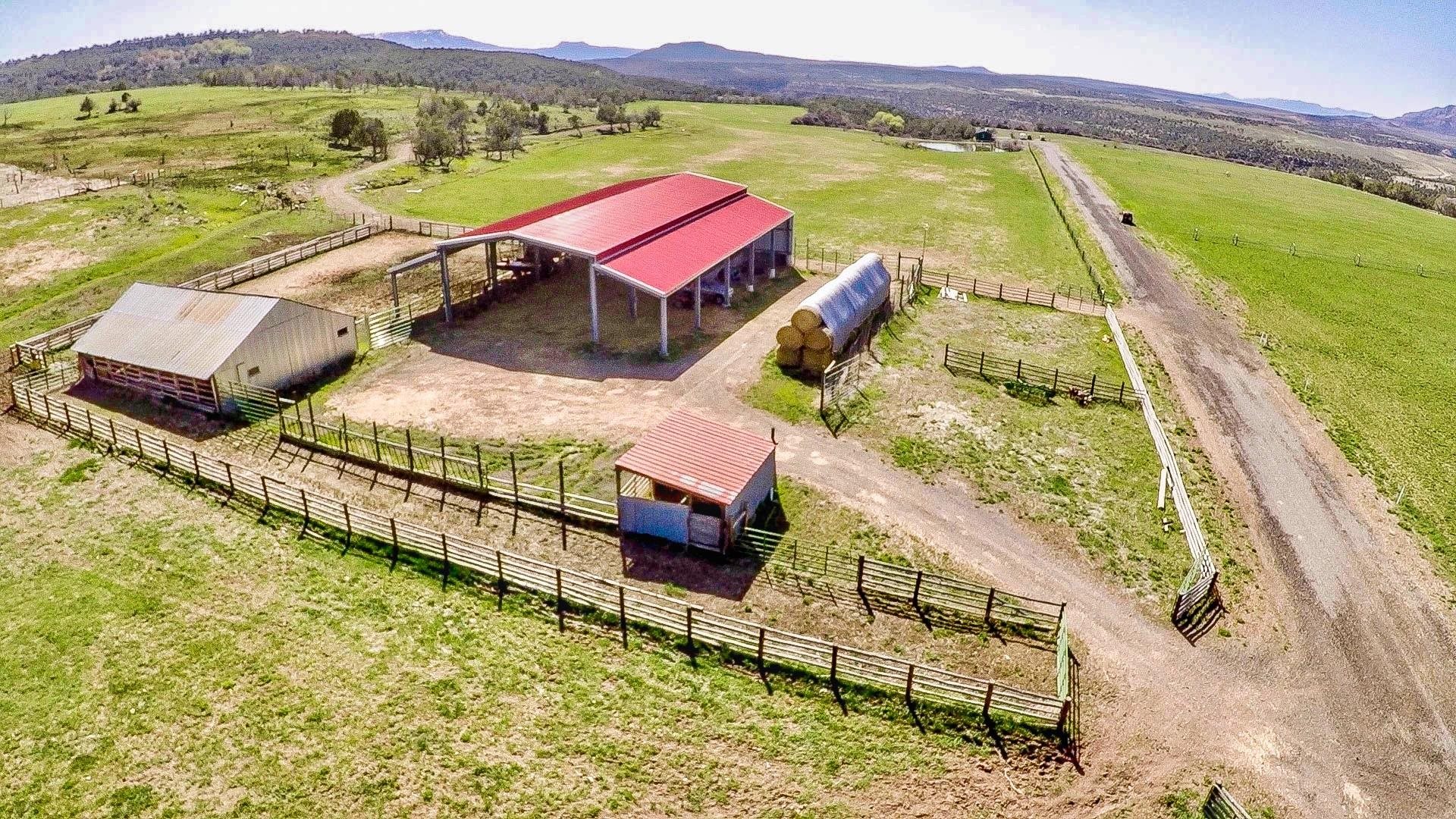 55945 Oe Road Collbran, CO 81624 - Photo 26 of 42