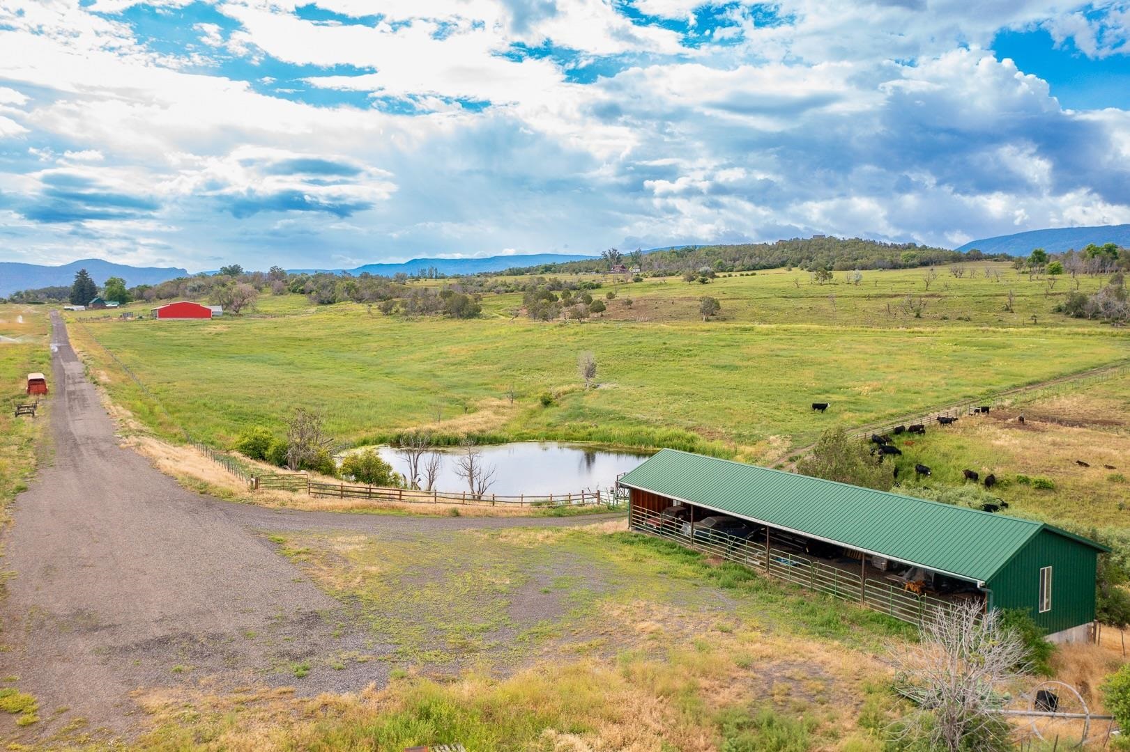 55945 Oe Road Collbran, CO 81624 - Photo 28 of 42