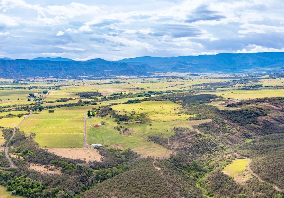 55945 Oe Road Collbran, CO 81624 - Photo 29 of 42