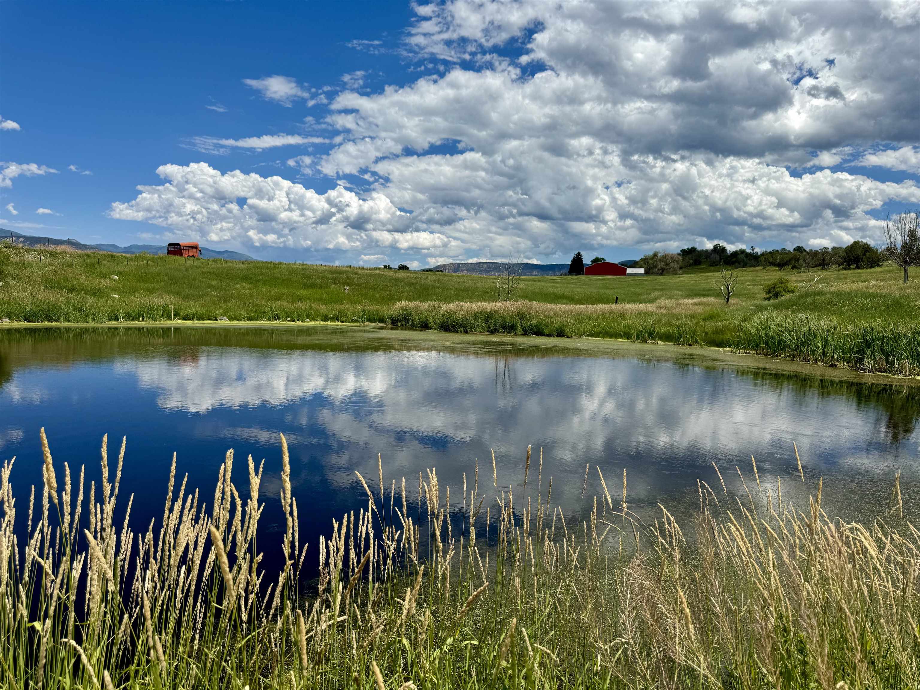 55945 Oe Road Collbran, CO 81624 - Photo 3 of 42