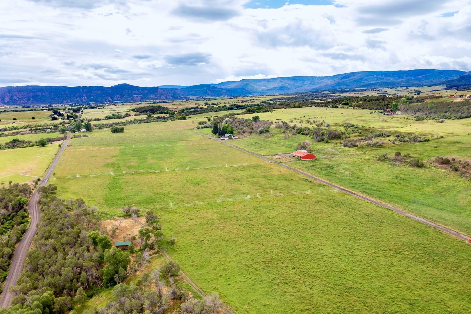55945 Oe Road Collbran, CO 81624 - Photo 31 of 42
