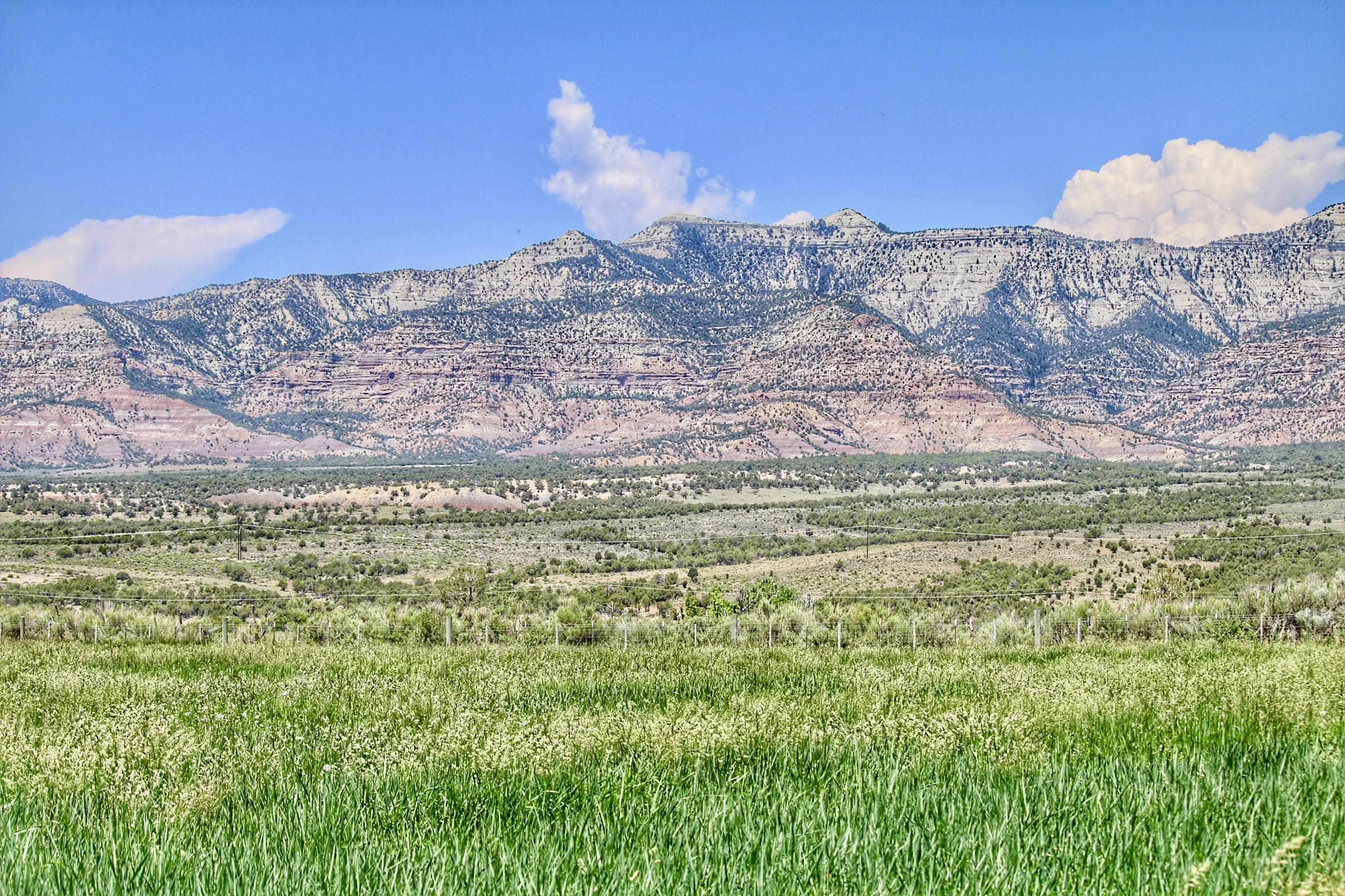 55945 Oe Road Collbran, CO 81624 - Photo 35 of 42