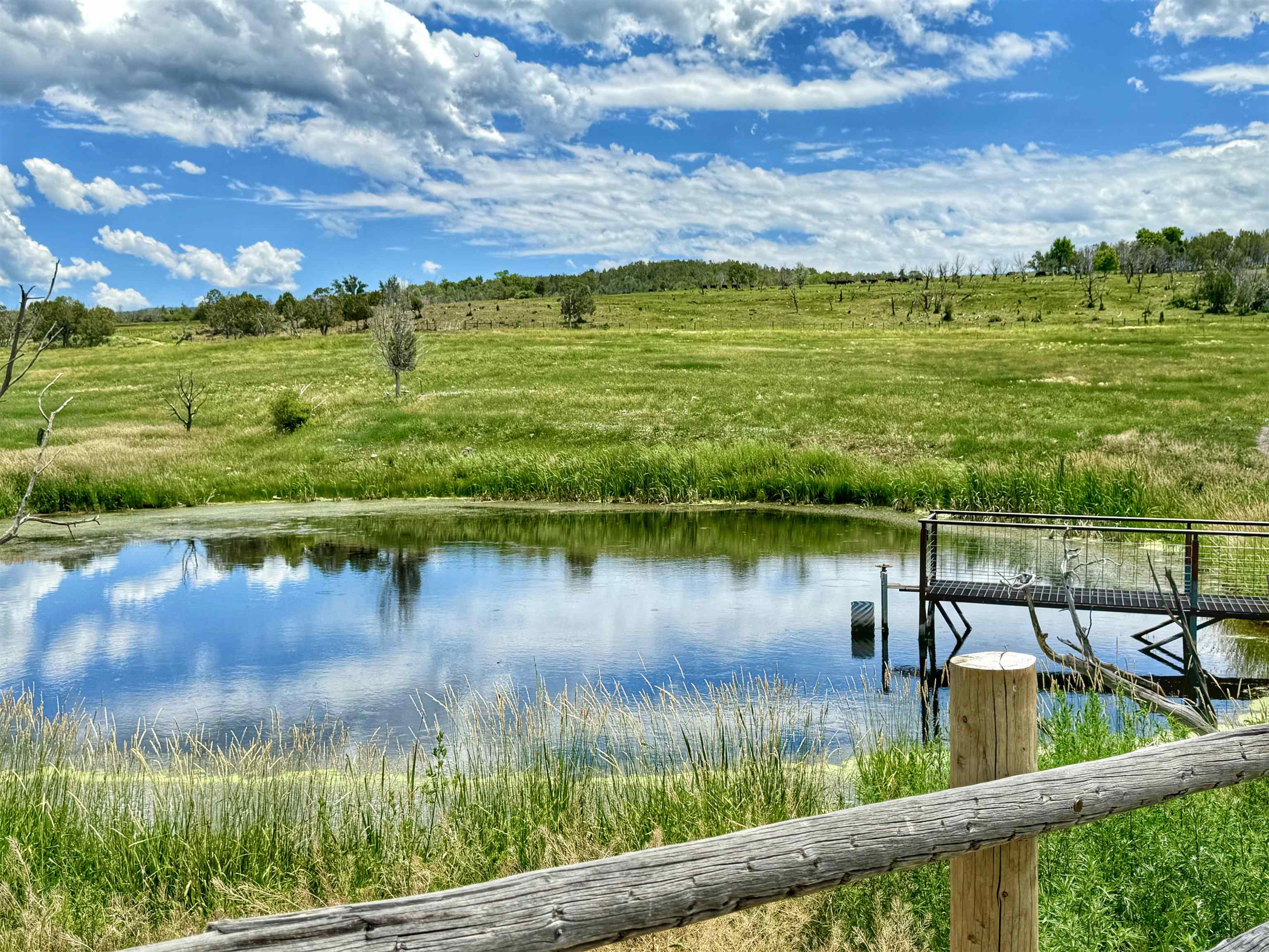 55945 Oe Road Collbran, CO 81624 - Photo 36 of 42