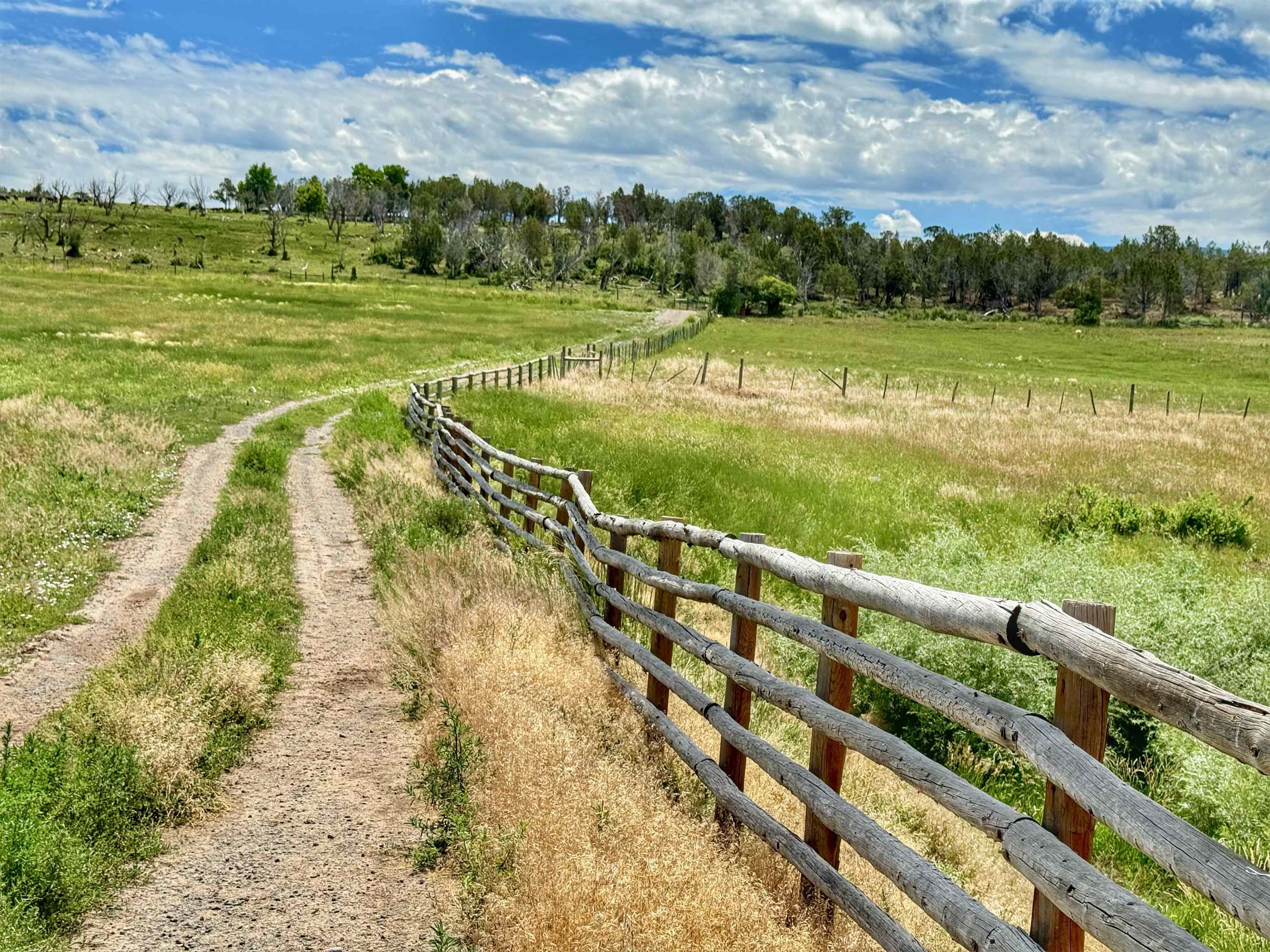 55945 Oe Road Collbran, CO 81624 - Photo 37 of 42